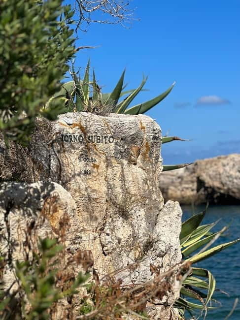 Boat trip with tasting of typical Apulian products - Exploring the Apulian Coast by Boat: A Deep Dive into the Experience