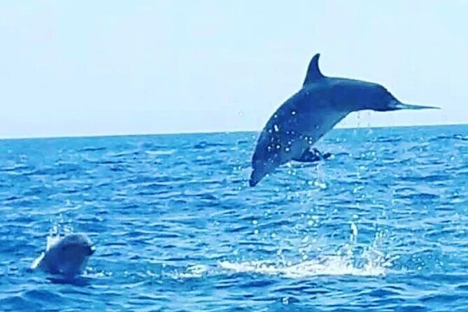 Boat trips with Zorro - Who Would Love This Tour?