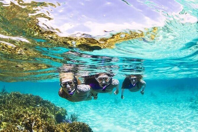 Boatride & Snorkeling then Margaritaville Hipstrip Activity - Final Thoughts