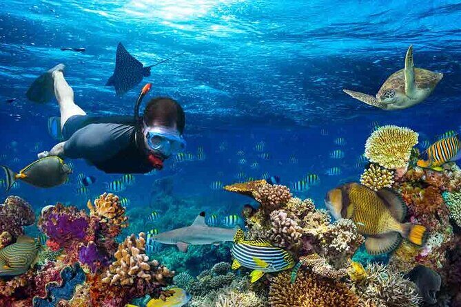 Boatride & Snorkeling then Margaritaville Hipstrip Activity - FAQs