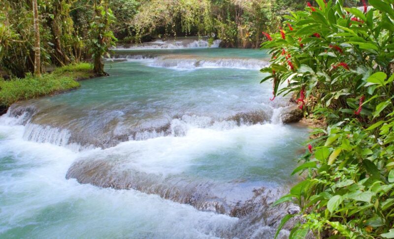 Bob Marley Birthplace and Dunns River Falls Private Tour - Key Points