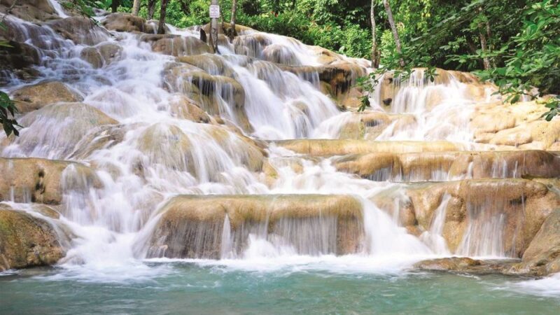 Bob Marley Birthplace and Dunns River Falls Private Tour - The Price and Value: Is It Worth It?