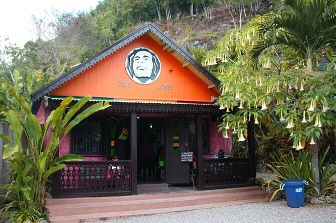 Bob Marley Culture and Dunn's River Falls Experience Montego Bay - Who Should Consider This Tour?