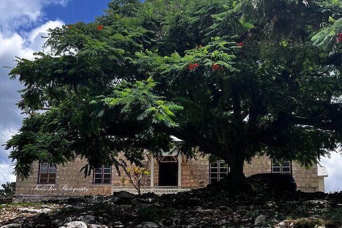 Bob Marley & Nine Mile Heritage Tour with Bus Transfer/Ocho Rios - The Bob Marley Mausoleum and Heritage Site