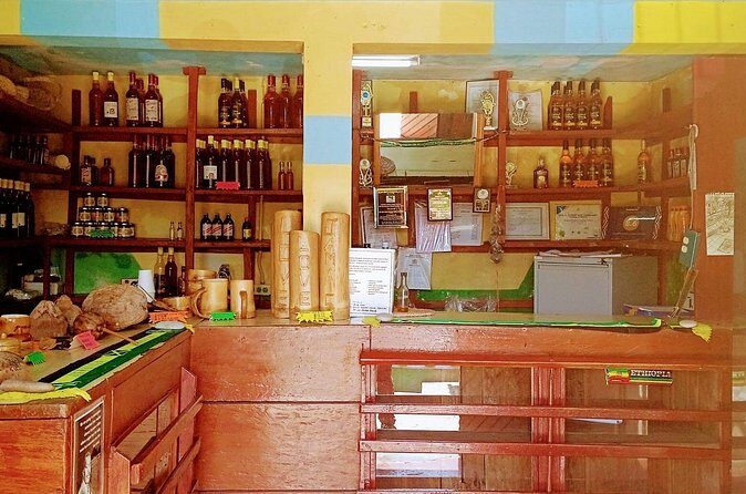 Bob Marley & Nine Mile Heritage Tour with Bus Transfer/Ocho Rios - The Sum Up