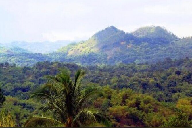 Bob Marley Nine Mile Home Private Tour from Montego Bay - An In-Depth Look at the Bob Marley Nine Mile Tour