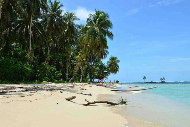 Bocas del Toro Island Hopping Day Tour in Zapatilla Beach - An In-Depth Look at the Tour Experience