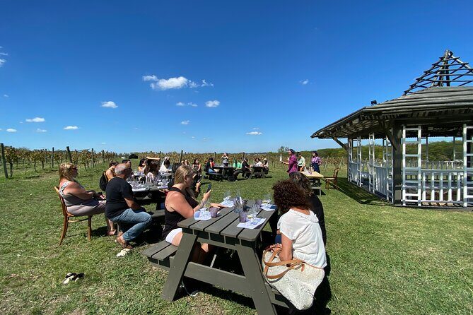 Bodega Gamboa Small-Group Wine Tasting Tour with Lunch - An In-Depth Look at the Gamboa Experience