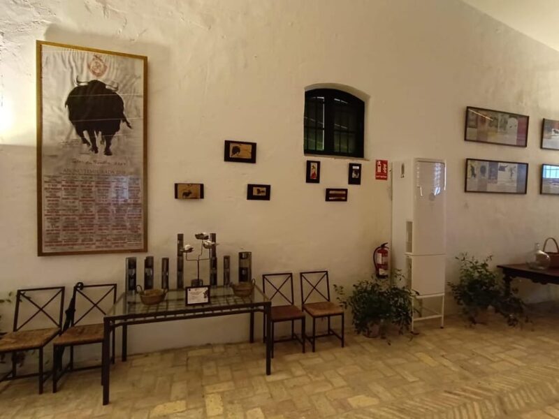 Bodega Halcón Winery Tour with Wine Tasting South of Seville - A Taste of Andalusia’s Winemaking Heritage