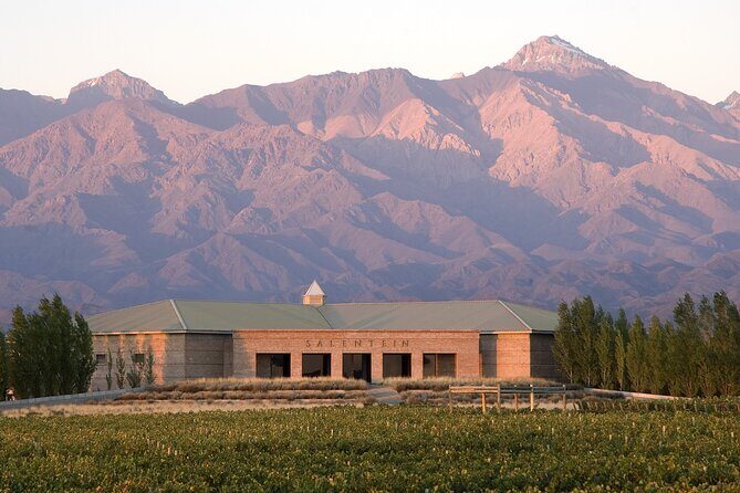 Bodega Salentein, Almuerzo Bodega La Azul with Private Transportation - A Thorough Look at What You Can Expect