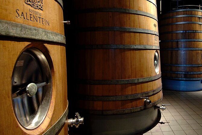 Bodega Salentein, Almuerzo Bodega La Azul with Private Transportation - Who Is This Tour Best For?