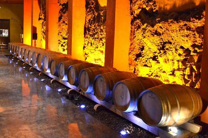 Bodegas Monje Winery Ticket w/Wine Tasting & Mojo Sauce Workshop - Frequently Asked Questions