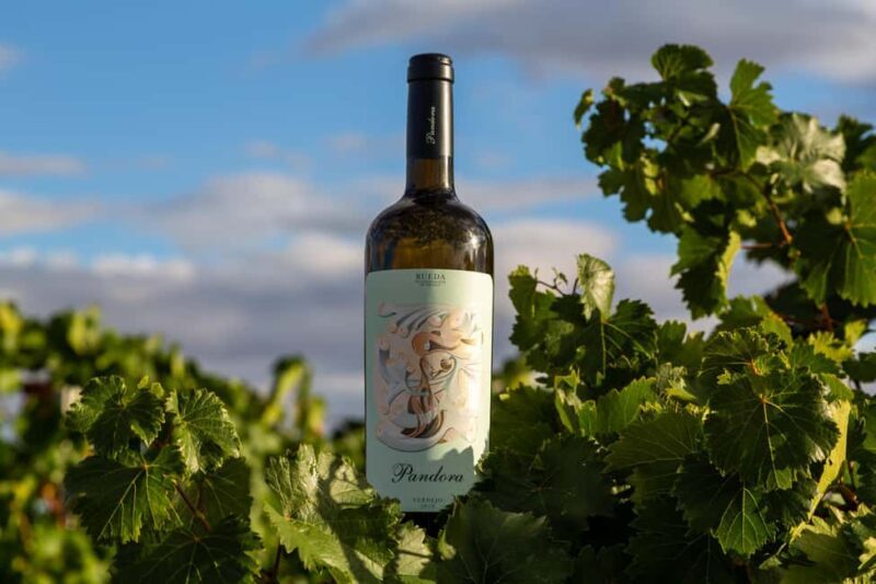 BODEGAS PANDORA: tour through the vineyards and winery with wine tasting. - Key Points