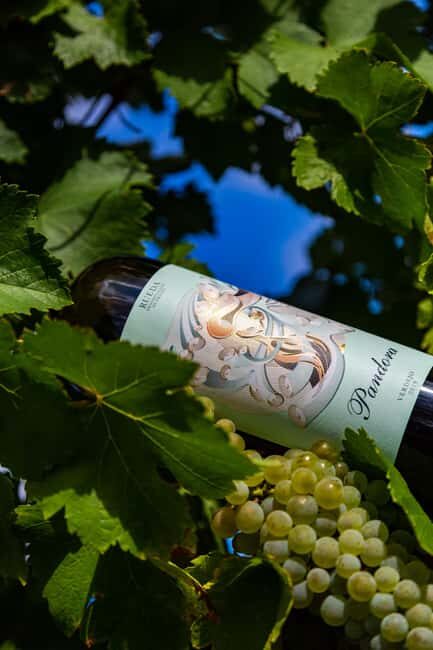 BODEGAS PANDORA: tour through the vineyards and winery with wine tasting. - FAQs