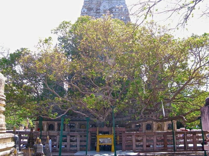 BODHGAYA FULL DAY TOUR - Why This Tour Offers Real Value