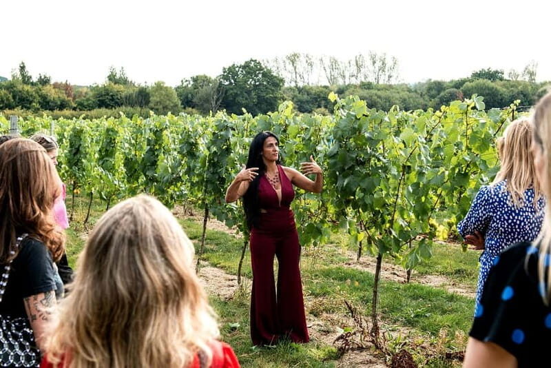 Bodiam: Vineyard Tour and Wine Tasting Experience - The Sum Up