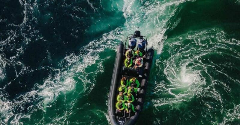Bodø: Saltstraumen Sea Eagle Trip by RIB - Introduction