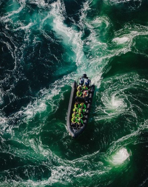 Bodø: Saltstraumen Sea Eagle Trip by RIB - Deep Dive into the Experience
