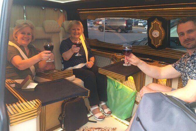 Bodrum Airport Private Minivan By Meet Transfer - A Closer Look at the Bodrum Airport Private Minivan Service