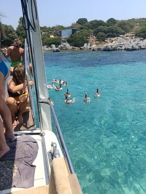 Bodrum boat trip starting from Gümbet beach - Authenticity and Value