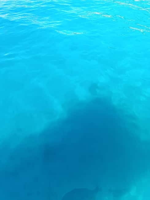 Bodrum boat trip starting from Gümbet beach - Who Should Consider This Trip?