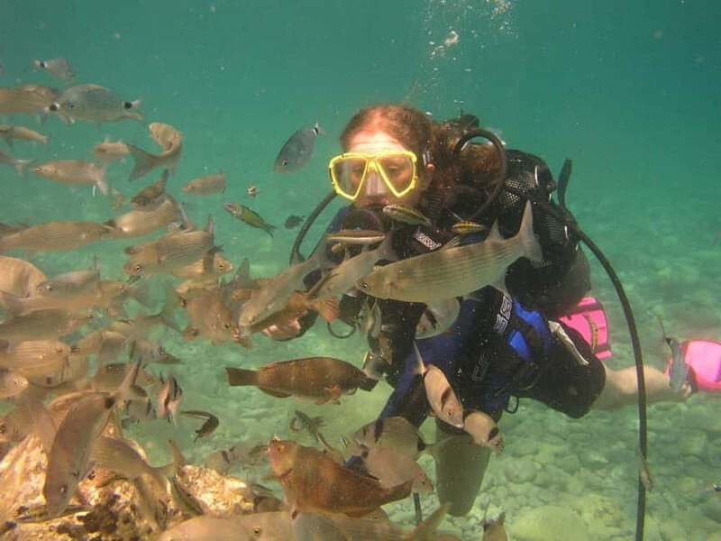 Bodrum diving day for advanced and beginner divers - An Authentic Dive into Bodrum’s Underwater World