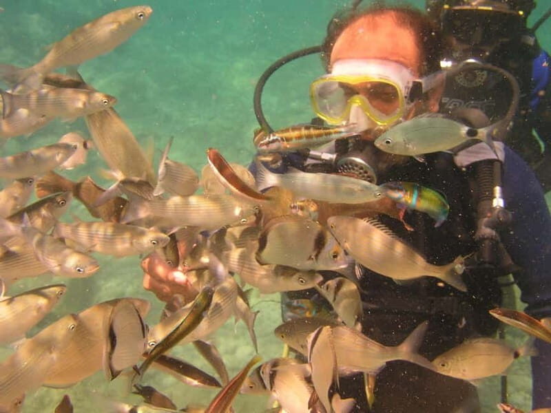 Bodrum diving day for advanced and beginner divers - Authentic Marine Encounters