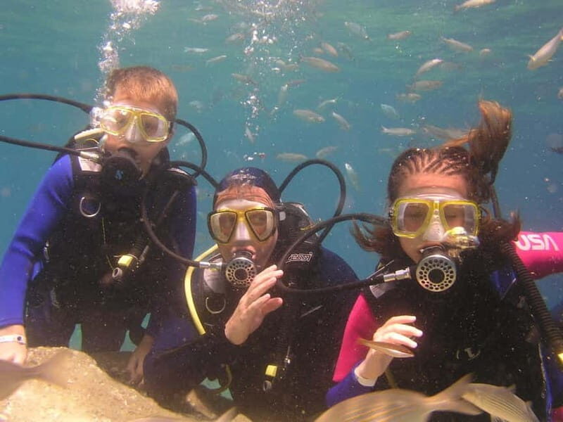 Bodrum diving day for advanced and beginner divers - Final Thoughts