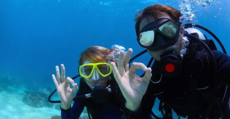Bodrum: Full-Day Scuba Diving Tour - Bodrum: Full-Day Scuba Diving Tour – An In-Depth Look