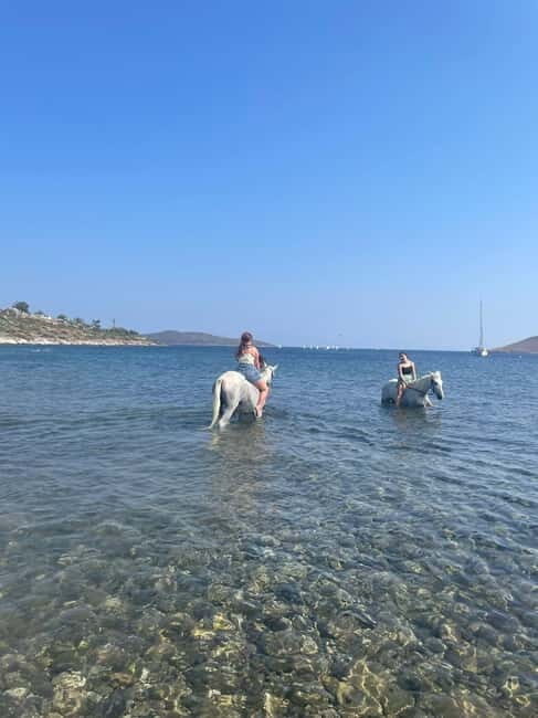 Bodrum Horse Riding Adventure - Key Points