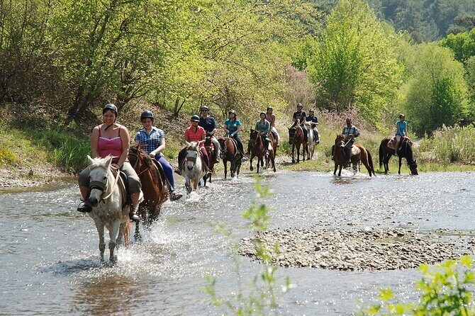 Bodrum Horse Riding Experience w/ Hotel Transfer Service - A Deep Dive into the Bodrum Horse Riding Experience