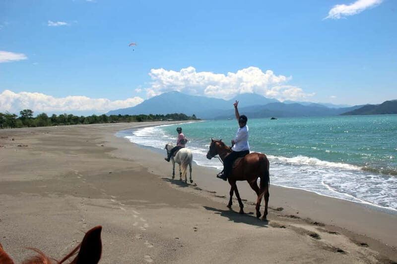 Bodrum: Horseback Riding Experience with Hotel Transfer - Bodrum: Horseback Riding Experience with Hotel Transfer