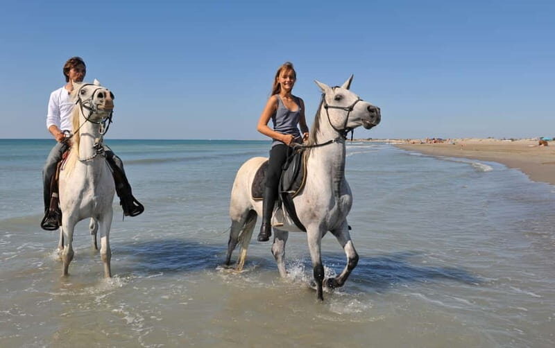 Bodrum: Horseback Riding Experience with Hotel Transfer - The Benefits of This Tour