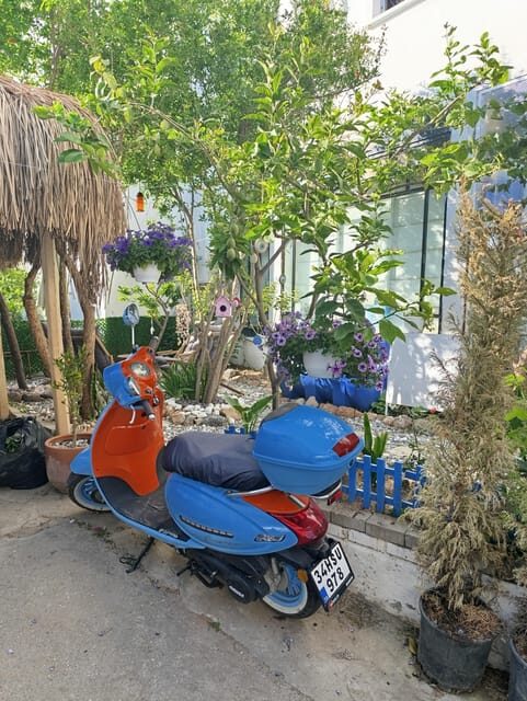 Bodrum like a local by walk - FAQ