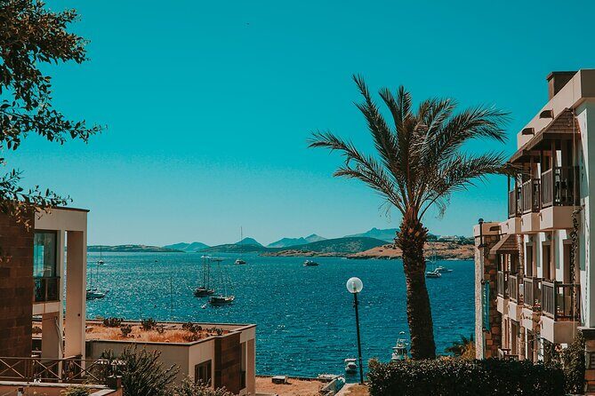 Bodrum Like a Local: Customized Private Tour - Exploring Bodrum Like a Local: A Deep Dive