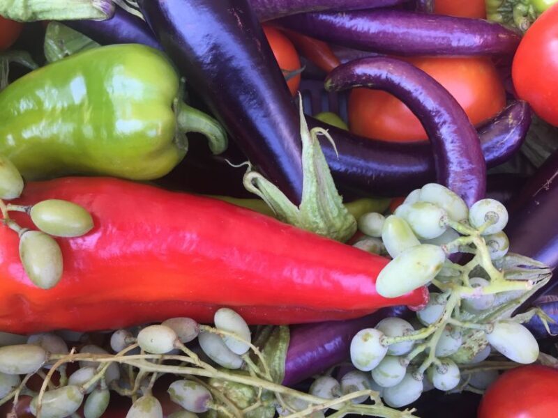 Bodrum: Market Visit and Cooking Class - The Value of the Experience