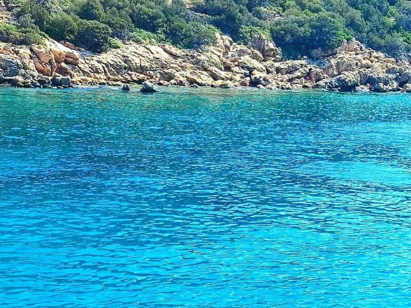 Bodrum Private Boat tour with lunch & swimming stops - FAQ