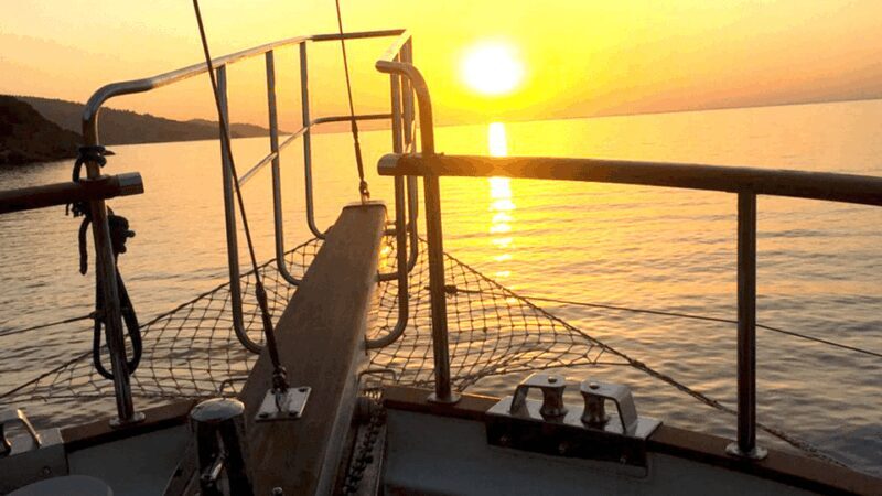 Bodrum: Private Sunset Boat Tour with Optional Dinner - Who Would Enjoy This Tour?