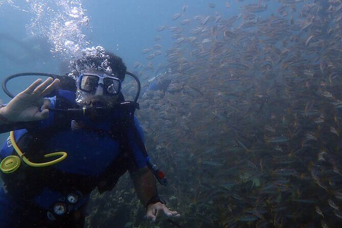 Bodrum Scuba Diving Tour With Free Hotel Transfer By Locals - Bodrum Scuba Diving Tour With Free Hotel Transfer By Locals: A Deep Dive into Authentic Underwater Adventure