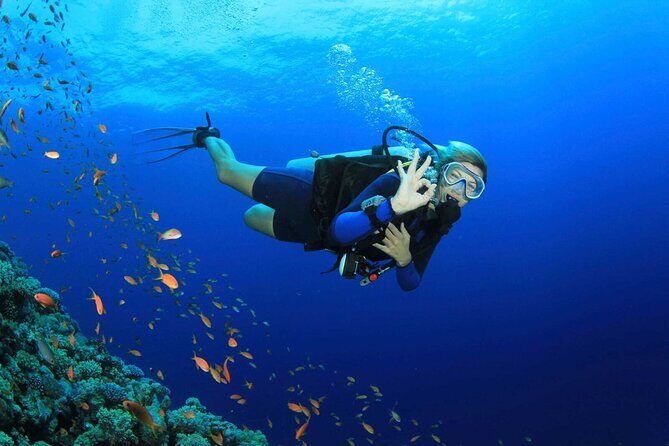 Bodrum Scuba Diving Tour With Free Hotel Transfer By Locals - Frequently Asked Questions