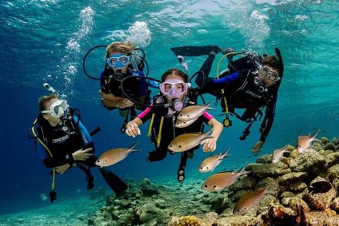 Bodrum Scuba Diving Tour With Free Hotel Transfer By Locals - In The Sum Up
