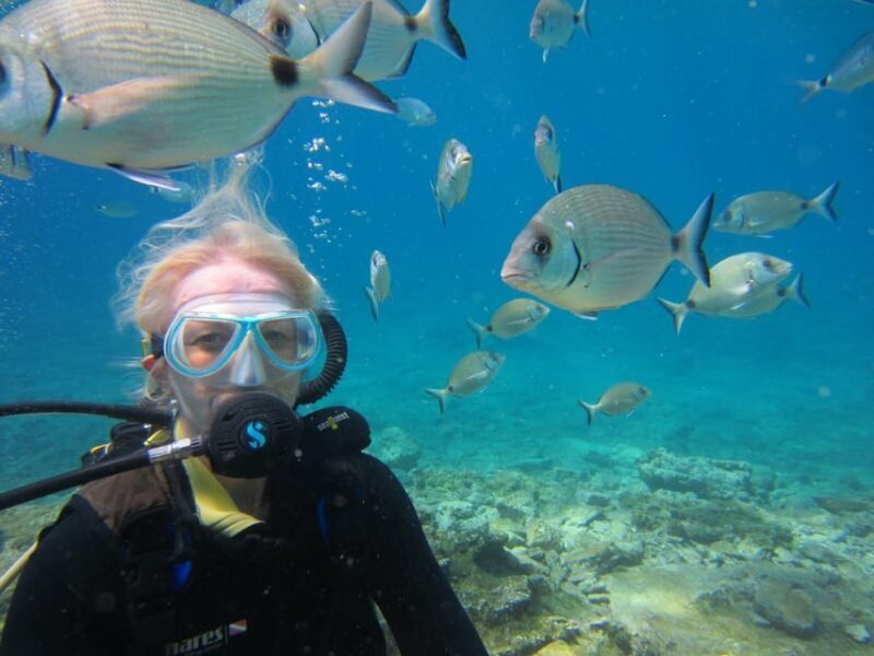 Bodrum: Scuba Diving Trip with Lunch - Bodrum: Scuba Diving Trip with Lunch – An Authentic Underwater Adventure