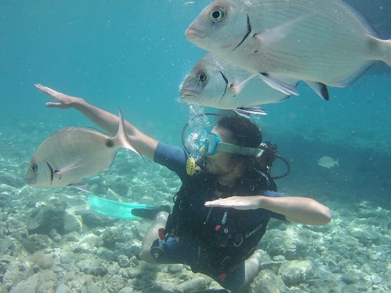 Bodrum: Scuba Diving Trip with Lunch - What Travelers Say
