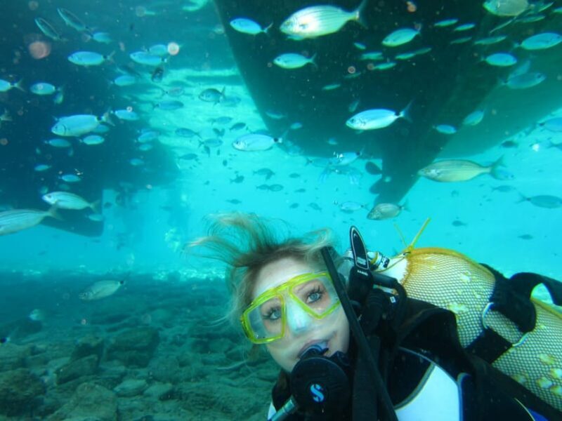 Bodrum: Scuba Diving Trip with Lunch - The Sum Up: Who Will Love This?