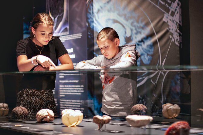 Body Worlds Amsterdam Fast-lane Ticket - An In-Depth Look at the Body Worlds Amsterdam Experience