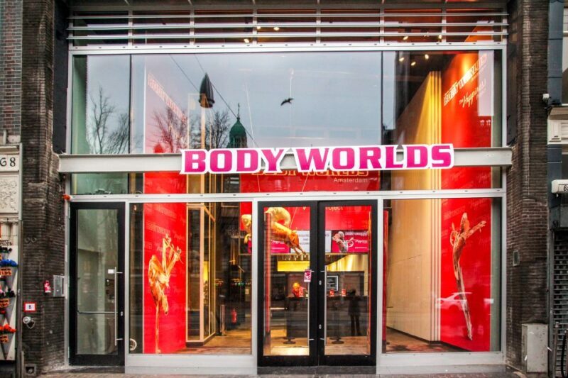 Body Worlds Amsterdam: The Happiness Project Ticket - Diving into the Experience: What’s It All About?