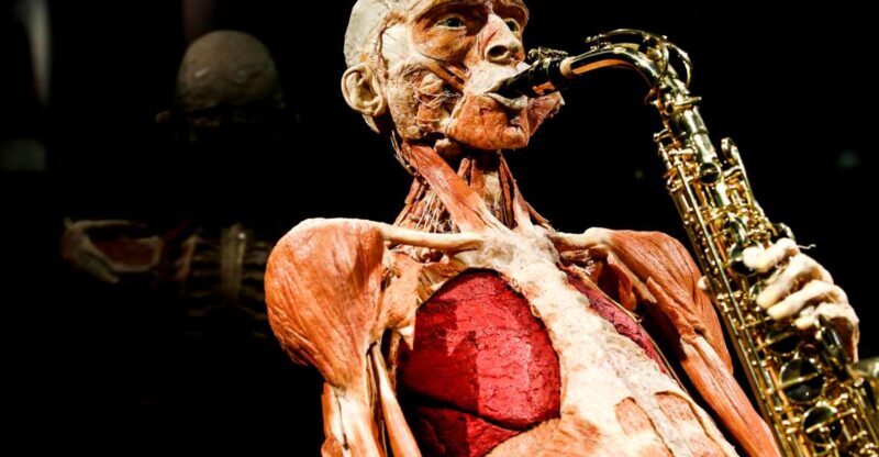 Body Worlds Amsterdam: The Happiness Project Ticket - Practical Details & Tips