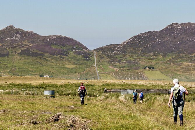 Bog Safari Hike - Discover the Heart of Ireland’s Wild Atlantic Way with the Bog Safari Hike