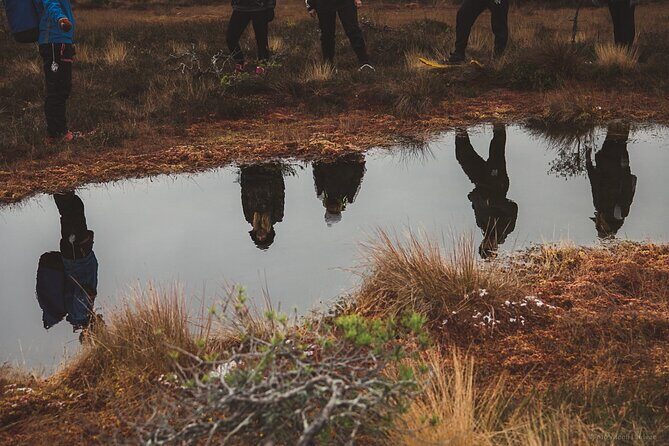 Bog-shoe Hiking Tour - Key Points