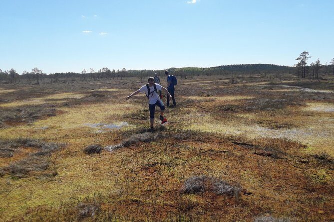 Bog-shoe Hiking Tour - The Sum Up